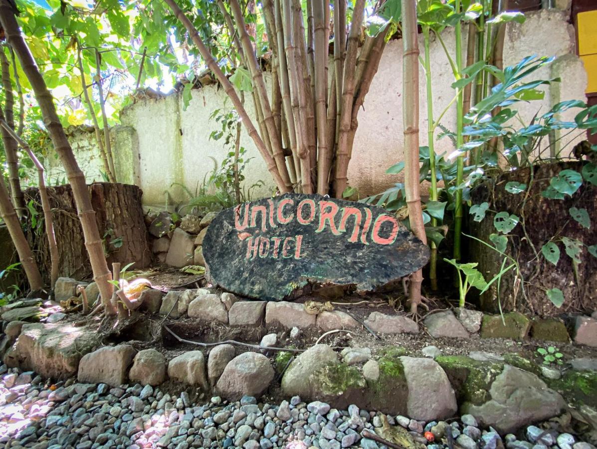 Unicorn Reborn - Peaceful Rentals 圣马科斯拉拉古纳 外观 照片
