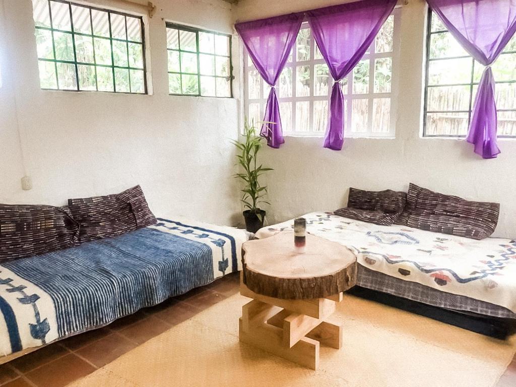 Unicorn Reborn - Peaceful Rentals 圣马科斯拉拉古纳 外观 照片